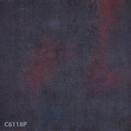 Gạch lát sàn Trường Thịnh COOLSTONE C6118P